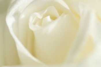 ファンディヒーリング,ファンディ,黄帝,ゆうじのカスタマイズ,ヒーラーを癒すヒーラー