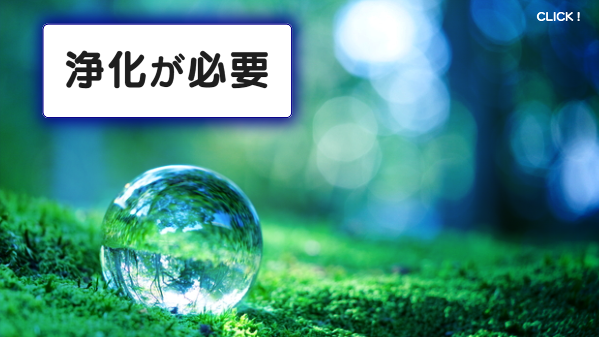 浄化が必要