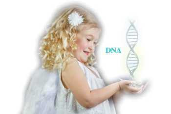 ＤＮＡアクティベーション,フルスピリットアクティベーション,アデプト,アデプトプログラム,ＤＮＡ活性化