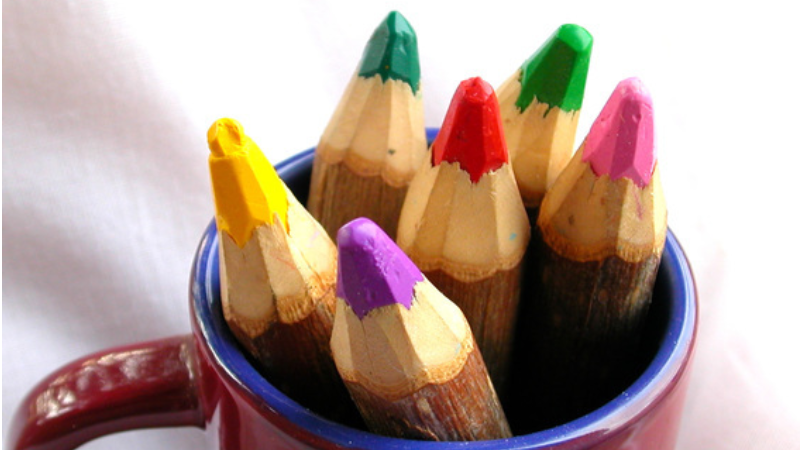 アデプトプログラム